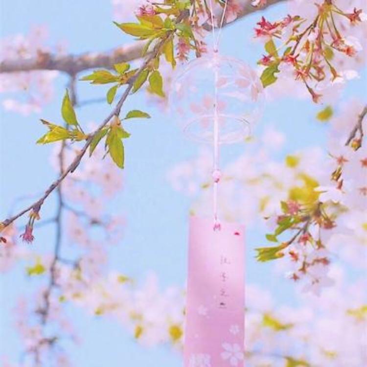 平田薰（饰 关原妙） - 绝母1一6全集动漫在线播放15 - 网络观看